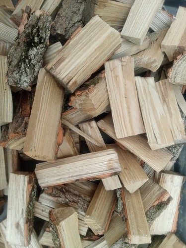 Sassafras wood chunks - sassafras,